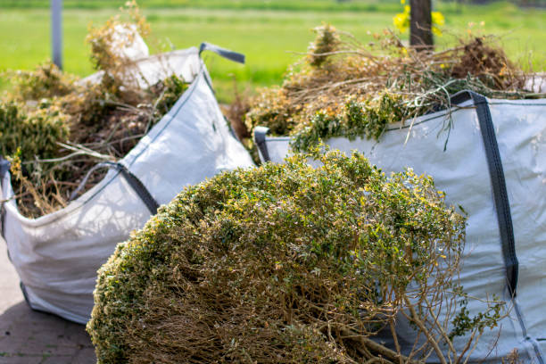 Best Professional Junk Removal  in Antelope, CA